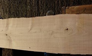 legno castagno