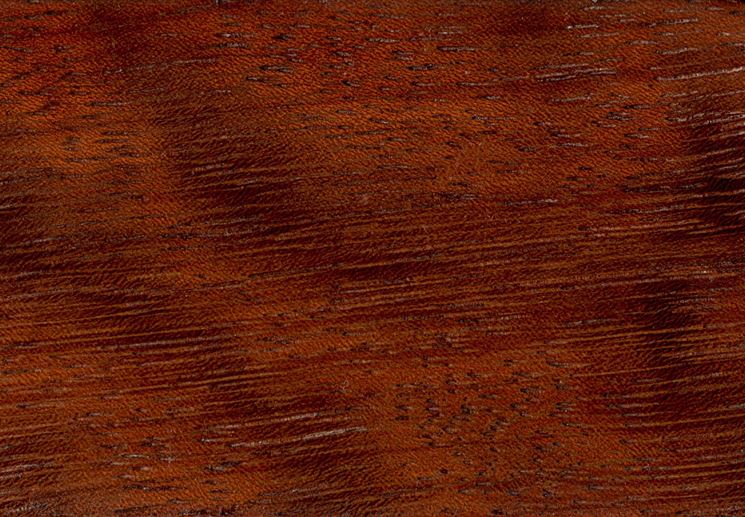 Particolarit legno iroko