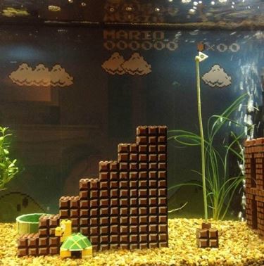 acquario super mario