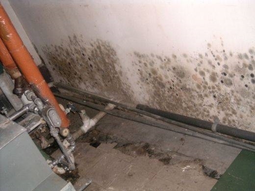 Rimuovere lumidità e la muffa dai muri tecniche togliere la ... Come pulire i muri