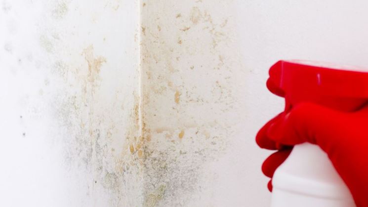 Rimuovere lumidità e la muffa dai muri tecniche togliere la ... Pulire muffa sui muri