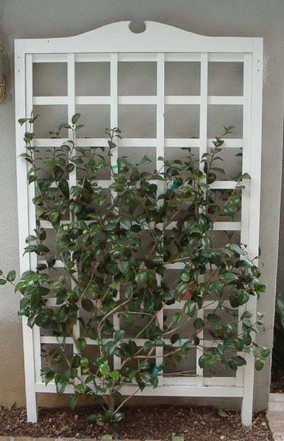 Grigliati per terrazzi arredamento giardino Grigliati in ferro per terrazzi