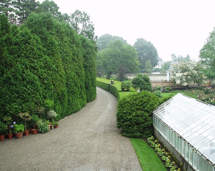 vialetto per il giardino