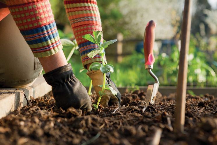 lavorare il terreno 