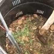 compost