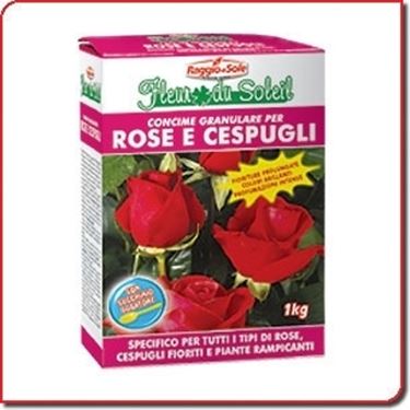 concimare rose