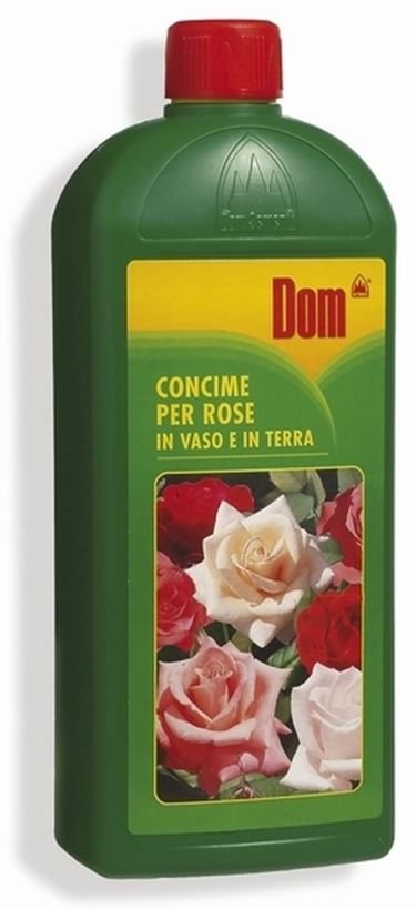 come concimare rose