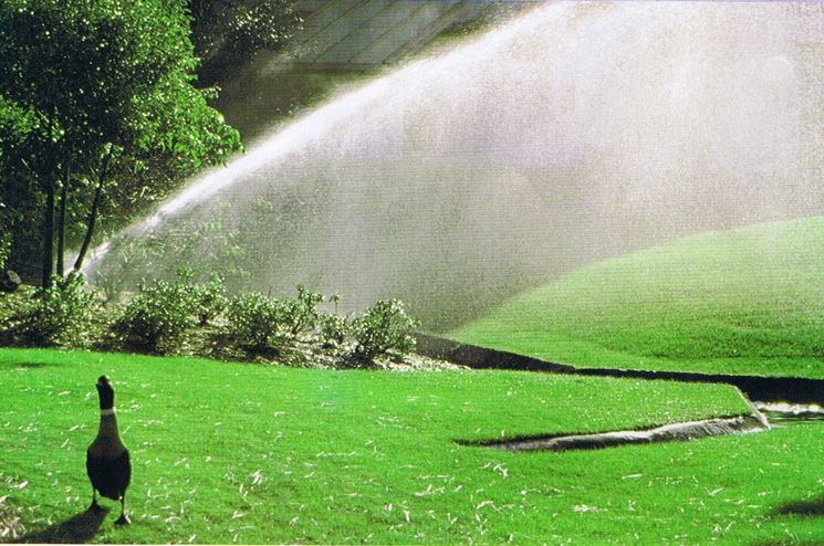 Pioggia Pure 900.005: L'irrigatore Da Giardino Che Non Ti Fa Pensare