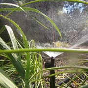 sistema di irrigazione