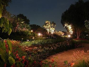 Giardino illuminato