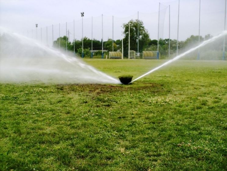 esempio di irrigatore per giardino