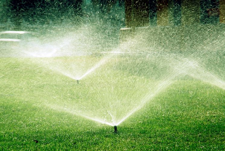 Irrigazione di un giardino