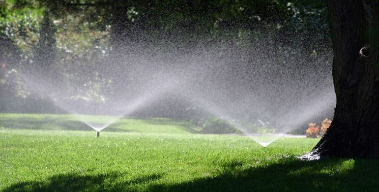 Modello di irrigatore statico