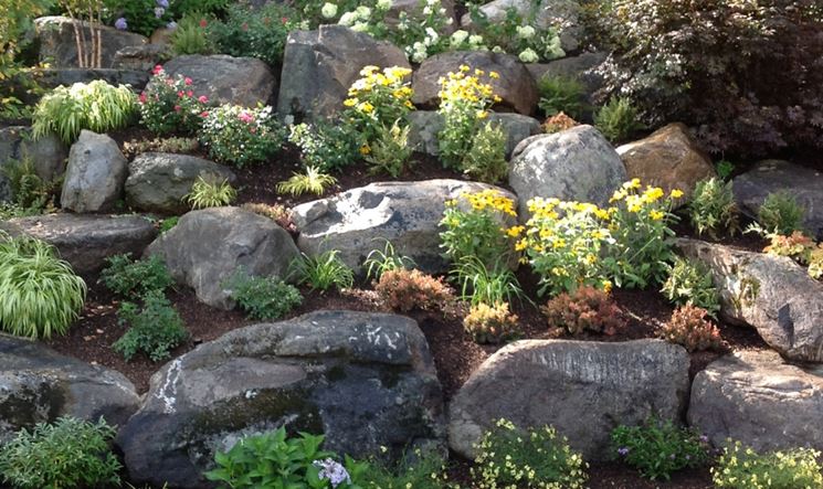 Realizzare un giardino roccioso