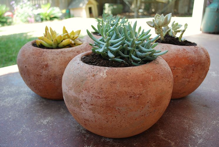 Vasi Terracotta Materiali Per Il Giardino Modelli E