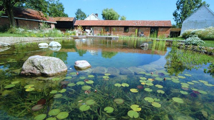 Piscina Naturale Piscina Fai Da Te Che Cosè Una Piscina