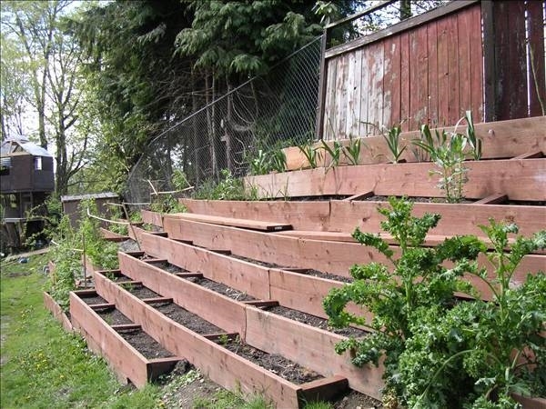 Come realizzare un giardino o un orto sul terrazzo serre Realizzare un giardino