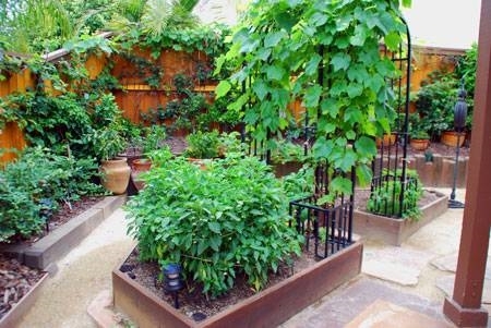 Come realizzare un giardino pensile. latest giardino pensile fai da ... Come creare un giardino pensile sul terrazzo