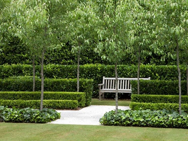 casa con giardino alla francese