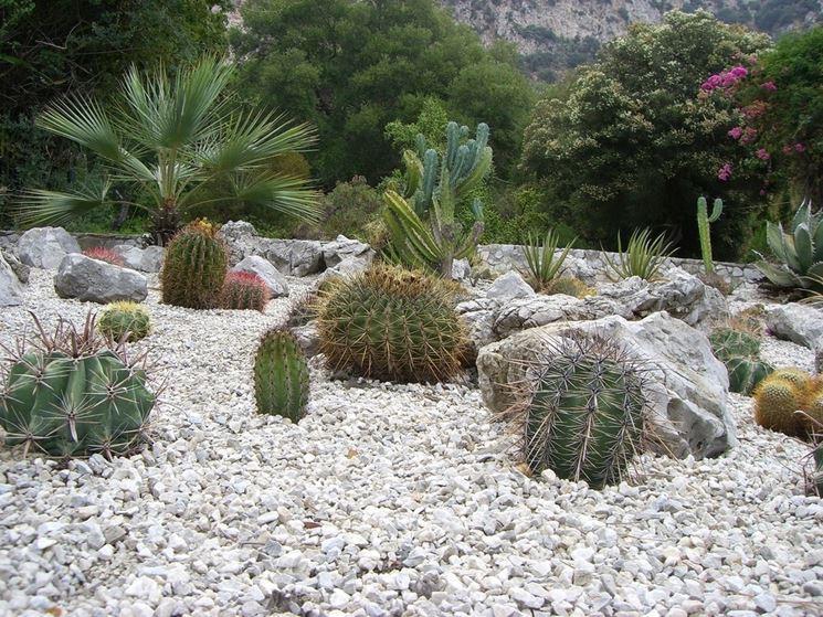 giardino con piante grasse e ghiaia