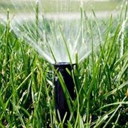 irrigazione automatica