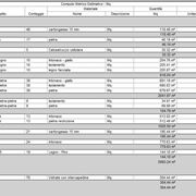 Computo metrico estimativo