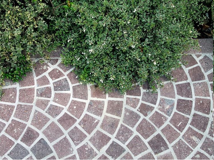 Pietre per rivestimenti esterni pavimento per esterni ... Rivestimenti in pietra per esterni prezzi