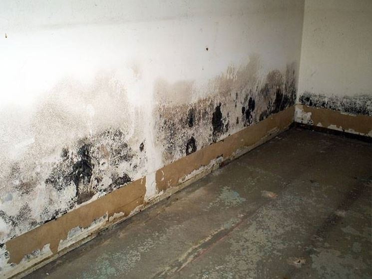 Isolare una parete interna pareti isolamento interno per pareti Cartongesso per pareti umide