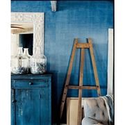 pittura denim