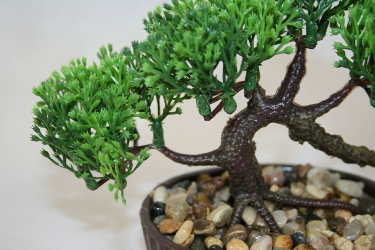 Bonsai finto e le sue radici