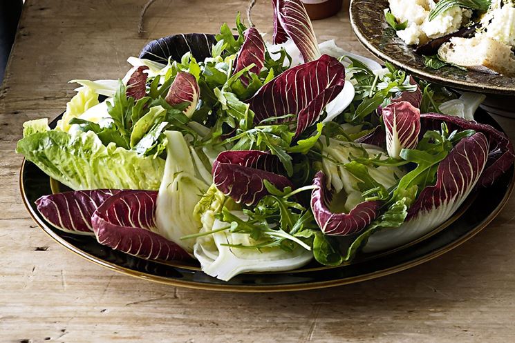 Radicchio in insalata