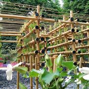 Come realizzare il Potager