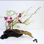 ikebana