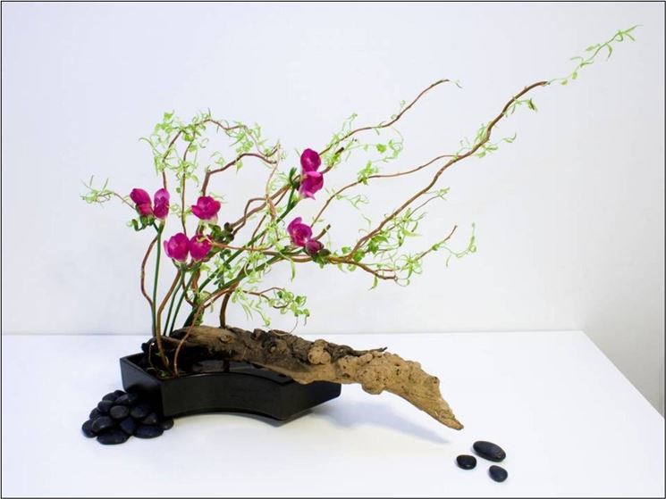 ikebana