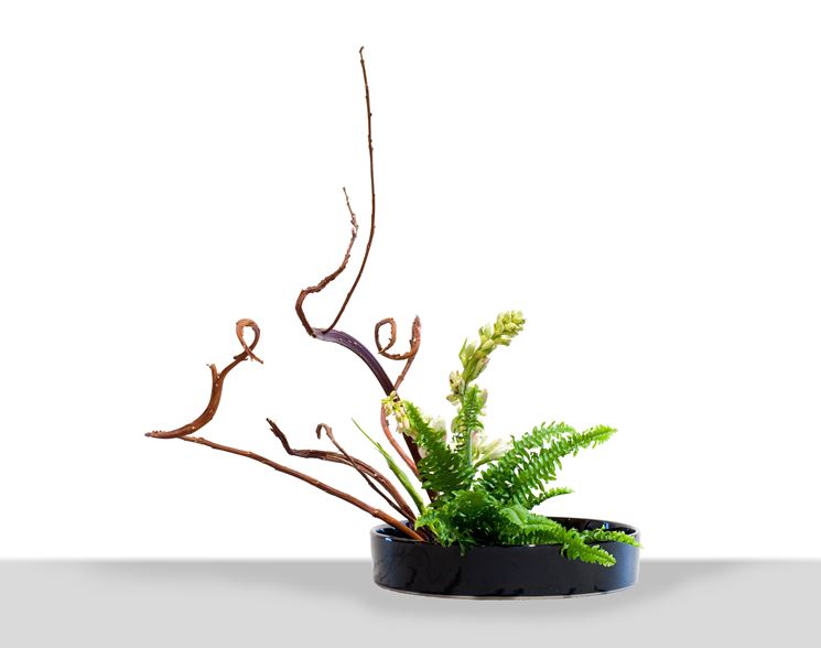 ikebana