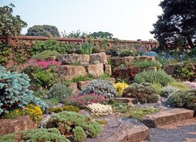 Giardini piante grasse