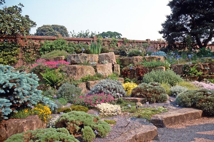 giardino con piante grasse