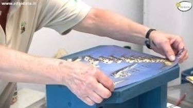 Decoupage per principianti